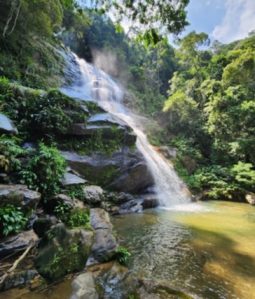 floresta-da-tijuca